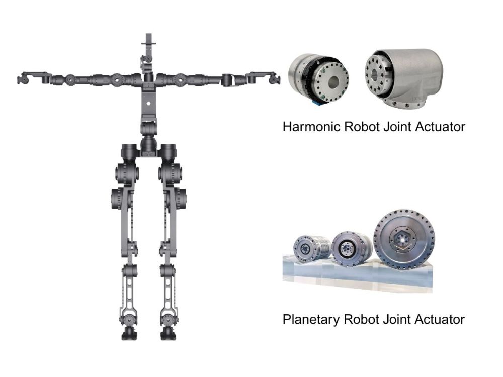 Pourquoi les actionneurs harmoniques pour articulations robotiques et les actionneurs planétaires pour articulations robotiques constituent-ils les choix idéaux pour les membres supérieurs et inférieurs des robots humanoïdes, respectivement ?