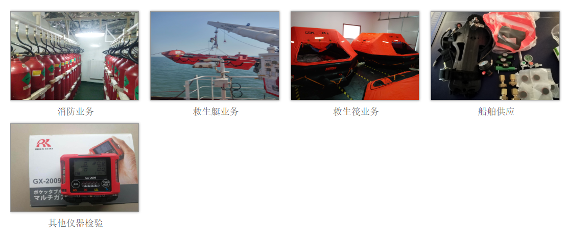 FFELSA INSPECTIONS AND MAINTENANCE ,GAS DETECTOR CALIBRATION ,CO2 ALARM SYSTEM