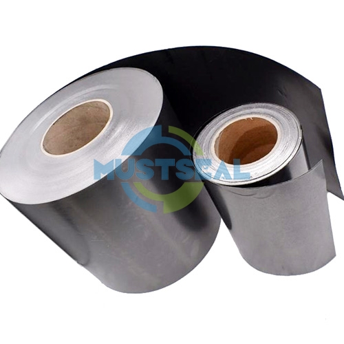 Expanded Graphite Sheet