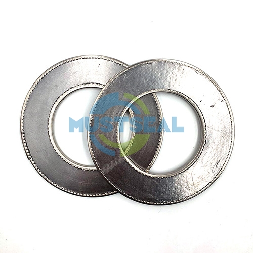 Reinforced Graphite Gasket