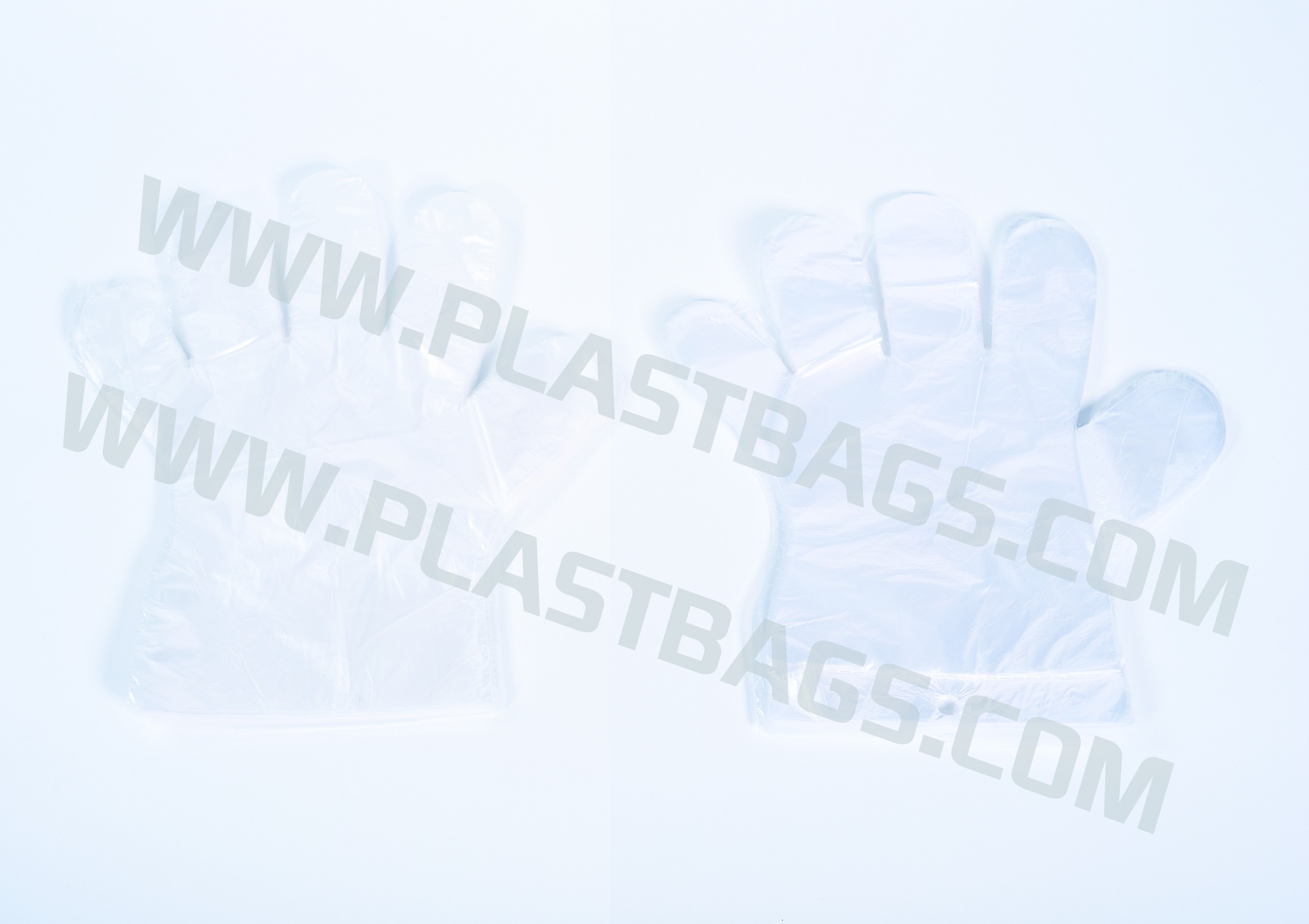 PE Gloves