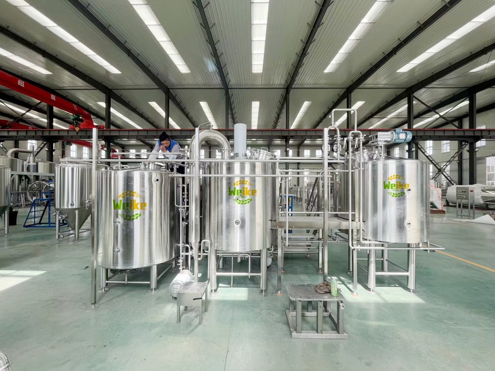 500L Mikrobierbrauerei