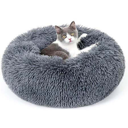 pet-accessories